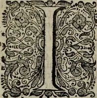 An illustration from Oorsprongk, Begin, en Vervolgh der Nederlandsche Oorlogen, beroerten, en Borgerlyke Oneenigheden : beginnende met d'opdracht der selve Landen, gedaen by Keyser Karel den Vijfden, aen sijnen Soon Konink Philippus van Spanjen, en eindigende met het einde van 't jaer M D C (1679)
