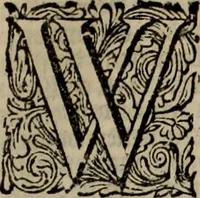 An illustration from Oorsprongk, Begin, en Vervolgh der Nederlandsche Oorlogen, beroerten, en Borgerlyke Oneenigheden : beginnende met d'opdracht der selve Landen, gedaen by Keyser Karel den Vijfden, aen sijnen Soon Konink Philippus van Spanjen, en eindigende met het einde van 't jaer M D C (1679)