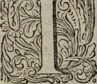 An illustration from Oorsprongk, Begin, en Vervolgh der Nederlandsche Oorlogen, beroerten, en Borgerlyke Oneenigheden : beginnende met d'opdracht der selve Landen, gedaen by Keyser Karel den Vijfden, aen sijnen Soon Konink Philippus van Spanjen, en eindigende met het einde van 't jaer M D C (1679)
