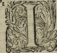 Picture 23 of 70 from Oorsprongk, Begin, en Vervolgh der Nederlandsche Oorlogen, beroerten, en Borgerlyke Oneenigheden : beginnende met d'opdracht der selve Landen, gedaen by Keyser Karel den Vijfden, aen sijnen Soon Konink Philippus van Spanjen, en eindigende met het einde van 't jaer M D C (1679), leaf 328