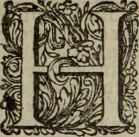 An illustration from Oorsprongk, Begin, en Vervolgh der Nederlandsche Oorlogen, beroerten, en Borgerlyke Oneenigheden : beginnende met d'opdracht der selve Landen, gedaen by Keyser Karel den Vijfden, aen sijnen Soon Konink Philippus van Spanjen, en eindigende met het einde van 't jaer M D C (1679)