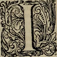 An illustration from Oorsprongk, Begin, en Vervolgh der Nederlandsche Oorlogen, beroerten, en Borgerlyke Oneenigheden : beginnende met d'opdracht der selve Landen, gedaen by Keyser Karel den Vijfden, aen sijnen Soon Konink Philippus van Spanjen, en eindigende met het einde van 't jaer M D C (1679)