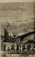 Picture 34 of 70 from Oorsprongk, Begin, en Vervolgh der Nederlandsche Oorlogen, beroerten, en Borgerlyke Oneenigheden : beginnende met d'opdracht der selve Landen, gedaen by Keyser Karel den Vijfden, aen sijnen Soon Konink Philippus van Spanjen, en eindigende met het einde van 't jaer M D C (1679), leaf 465