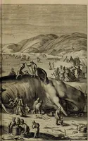 Picture 35 of 70 from Oorsprongk, Begin, en Vervolgh der Nederlandsche Oorlogen, beroerten, en Borgerlyke Oneenigheden : beginnende met d'opdracht der selve Landen, gedaen by Keyser Karel den Vijfden, aen sijnen Soon Konink Philippus van Spanjen, en eindigende met het einde van 't jaer M D C (1679), leaf 466