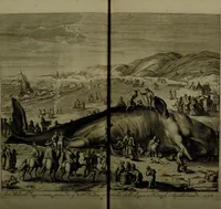 An illustration from Oorsprongk, Begin, en Vervolgh der Nederlandsche Oorlogen, beroerten, en Borgerlyke Oneenigheden : beginnende met d'opdracht der selve Landen, gedaen by Keyser Karel den Vijfden, aen sijnen Soon Konink Philippus van Spanjen, en eindigende met het einde van 't jaer M D C (1679)