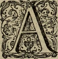 An illustration from Oorsprongk, Begin, en Vervolgh der Nederlandsche Oorlogen, beroerten, en Borgerlyke Oneenigheden : beginnende met d'opdracht der selve Landen, gedaen by Keyser Karel den Vijfden, aen sijnen Soon Konink Philippus van Spanjen, en eindigende met het einde van 't jaer M D C (1679)