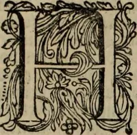 An illustration from Oorsprongk, Begin, en Vervolgh der Nederlandsche Oorlogen, beroerten, en Borgerlyke Oneenigheden : beginnende met d'opdracht der selve Landen, gedaen by Keyser Karel den Vijfden, aen sijnen Soon Konink Philippus van Spanjen, en eindigende met het einde van 't jaer M D C (1679)