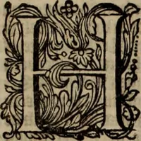 An illustration from Oorsprongk, Begin, en Vervolgh der Nederlandsche Oorlogen, beroerten, en Borgerlyke Oneenigheden : beginnende met d'opdracht der selve Landen, gedaen by Keyser Karel den Vijfden, aen sijnen Soon Konink Philippus van Spanjen, en eindigende met het einde van 't jaer M D C (1679)