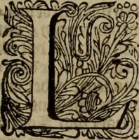 An illustration from Oorsprongk, Begin, en Vervolgh der Nederlandsche Oorlogen, beroerten, en Borgerlyke Oneenigheden : beginnende met d'opdracht der selve Landen, gedaen by Keyser Karel den Vijfden, aen sijnen Soon Konink Philippus van Spanjen, en eindigende met het einde van 't jaer M D C (1679)