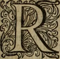 An illustration from Oorsprongk, Begin, en Vervolgh der Nederlandsche Oorlogen, beroerten, en Borgerlyke Oneenigheden : beginnende met d'opdracht der selve Landen, gedaen by Keyser Karel den Vijfden, aen sijnen Soon Konink Philippus van Spanjen, en eindigende met het einde van 't jaer M D C (1679)