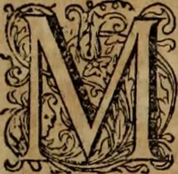 An illustration from Oorsprongk, Begin, en Vervolgh der Nederlandsche Oorlogen, beroerten, en Borgerlyke Oneenigheden : beginnende met d'opdracht der selve Landen, gedaen by Keyser Karel den Vijfden, aen sijnen Soon Konink Philippus van Spanjen, en eindigende met het einde van 't jaer M D C (1679)