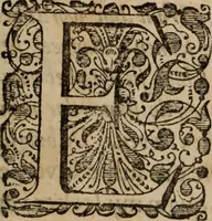 An illustration from Oorsprongk, Begin, en Vervolgh der Nederlandsche Oorlogen, beroerten, en Borgerlyke Oneenigheden : beginnende met d'opdracht der selve Landen, gedaen by Keyser Karel den Vijfden, aen sijnen Soon Konink Philippus van Spanjen, en eindigende met het einde van 't jaer M D C (1679)