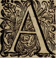 An illustration from Oorsprongk, Begin, en Vervolgh der Nederlandsche Oorlogen, beroerten, en Borgerlyke Oneenigheden : beginnende met d'opdracht der selve Landen, gedaen by Keyser Karel den Vijfden, aen sijnen Soon Konink Philippus van Spanjen, en eindigende met het einde van 't jaer M D C (1679)