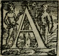 An illustration from Opera ... (1598)