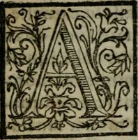 An illustration from Opera ... (1598)