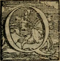 An illustration from Opera ... (1598)
