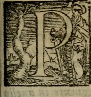 An illustration from Opera ... (1598)