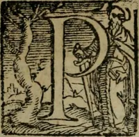 An illustration from Opera ... (1598)