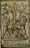 An illustration from Opera ... (1598)