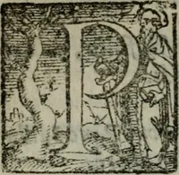An illustration from Opera ... (1598)