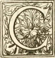 An illustration from [Opera Francisci Baronis de Vervlamio ... Tomvs primvs; qui continet De dignitate & augmentis scientiarum, libros IX .. (1623)