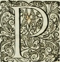 An illustration from Opera historica et philologica, sacra et profana. In quibus historia Boica, res augustanae, conversio & passio ss. martyrum Afrae, Hilariae, Dignae [et al.] ... continentur (1682)