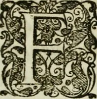 An illustration from Opera historica et philologica, sacra et profana. In quibus historia Boica, res augustanae, conversio & passio ss. martyrum Afrae, Hilariae, Dignae [et al.] ... continentur (1682)