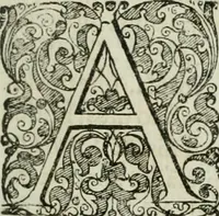 An illustration from Opera historica et philologica, sacra et profana. In quibus historia Boica, res augustanae, conversio & passio ss. martyrum Afrae, Hilariae, Dignae [et al.] ... continentur (1682)