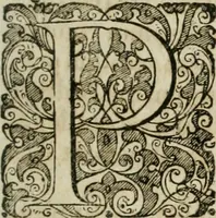 An illustration from Opera historica et philologica, sacra et profana. In quibus historia Boica, res augustanae, conversio & passio ss. martyrum Afrae, Hilariae, Dignae [et al.] ... continentur (1682)