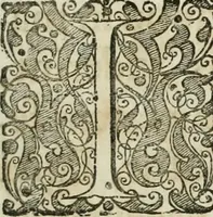 An illustration from Opera historica et philologica, sacra et profana. In quibus historia Boica, res augustanae, conversio & passio ss. martyrum Afrae, Hilariae, Dignae [et al.] ... continentur (1682)