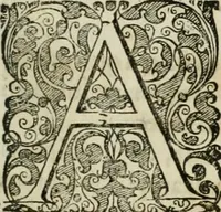 An illustration from Opera historica et philologica, sacra et profana. In quibus historia Boica, res augustanae, conversio & passio ss. martyrum Afrae, Hilariae, Dignae [et al.] ... continentur (1682)