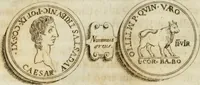 An illustration from Opera historica et philologica, sacra et profana. In quibus historia Boica, res augustanae, conversio & passio ss. martyrum Afrae, Hilariae, Dignae [et al.] ... continentur (1682)