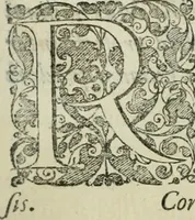 An illustration from Opera historica et philologica, sacra et profana. In quibus historia Boica, res augustanae, conversio & passio ss. martyrum Afrae, Hilariae, Dignae [et al.] ... continentur (1682)