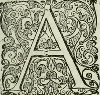 An illustration from Opera historica et philologica, sacra et profana. In quibus historia Boica, res augustanae, conversio & passio ss. martyrum Afrae, Hilariae, Dignae [et al.] ... continentur (1682)
