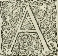 An illustration from Opera historica et philologica, sacra et profana. In quibus historia Boica, res augustanae, conversio & passio ss. martyrum Afrae, Hilariae, Dignae [et al.] ... continentur (1682)