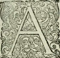 An illustration from Opera historica et philologica, sacra et profana. In quibus historia Boica, res augustanae, conversio & passio ss. martyrum Afrae, Hilariae, Dignae [et al.] ... continentur (1682)