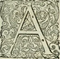 An illustration from Opera historica et philologica, sacra et profana. In quibus historia Boica, res augustanae, conversio & passio ss. martyrum Afrae, Hilariae, Dignae [et al.] ... continentur (1682)