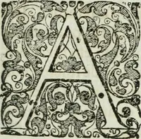 An illustration from Opera historica et philologica, sacra et profana. In quibus historia Boica, res augustanae, conversio & passio ss. martyrum Afrae, Hilariae, Dignae [et al.] ... continentur (1682)