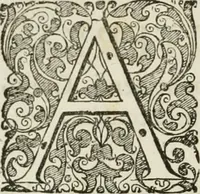 An illustration from Opera historica et philologica, sacra et profana. In quibus historia Boica, res augustanae, conversio & passio ss. martyrum Afrae, Hilariae, Dignae [et al.] ... continentur (1682)