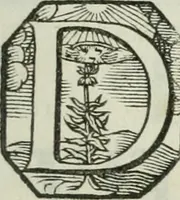 An illustration from Opera historica et philologica, sacra et profana. In quibus historia Boica, res augustanae, conversio & passio ss. martyrum Afrae, Hilariae, Dignae [et al.] ... continentur (1682)