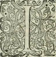 An illustration from Opera historica et philologica, sacra et profana. In quibus historia Boica, res augustanae, conversio & passio ss. martyrum Afrae, Hilariae, Dignae [et al.] ... continentur (1682)