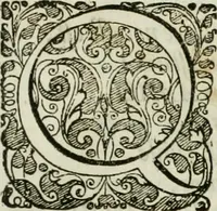 An illustration from Opera historica et philologica, sacra et profana. In quibus historia Boica, res augustanae, conversio & passio ss. martyrum Afrae, Hilariae, Dignae [et al.] ... continentur (1682)