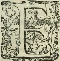An illustration from Opera Ioan. Goropii Becani, hactenus in lucum non edita: nempe, Hermathena, Heiroglyphica, Vertumnus, Gallica, Francica, Hispanica (1580)