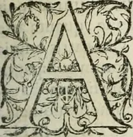 An illustration from Opera Ioan. Goropii Becani, hactenus in lucum non edita: nempe, Hermathena, Heiroglyphica, Vertumnus, Gallica, Francica, Hispanica (1580)