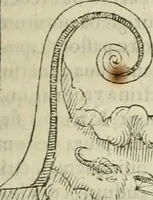 An illustration from Opera Ioan. Goropii Becani, hactenus in lucum non edita: nempe, Hermathena, Heiroglyphica, Vertumnus, Gallica, Francica, Hispanica (1580)