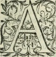 An illustration from Opera Ioan. Goropii Becani, hactenus in lucum non edita: nempe, Hermathena, Heiroglyphica, Vertumnus, Gallica, Francica, Hispanica (1580)