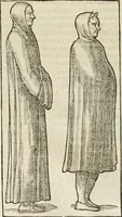 An illustration from Opera Ioan. Goropii Becani, hactenus in lucum non edita: nempe, Hermathena, Heiroglyphica, Vertumnus, Gallica, Francica, Hispanica (1580)