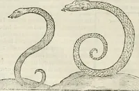 An illustration from Opera Ioan. Goropii Becani, hactenus in lucum non edita: nempe, Hermathena, Heiroglyphica, Vertumnus, Gallica, Francica, Hispanica (1580)
