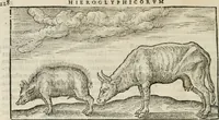 An illustration from Opera Ioan. Goropii Becani, hactenus in lucum non edita: nempe, Hermathena, Heiroglyphica, Vertumnus, Gallica, Francica, Hispanica (1580)