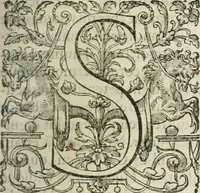 Picture 77 of 96 from Opera Ioan. Goropii Becani, hactenus in lucum non edita: nempe, Hermathena, Heiroglyphica, Vertumnus, Gallica, Francica, Hispanica (1580), leaf 704